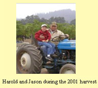 Harold and Jason during the 2001 harvest